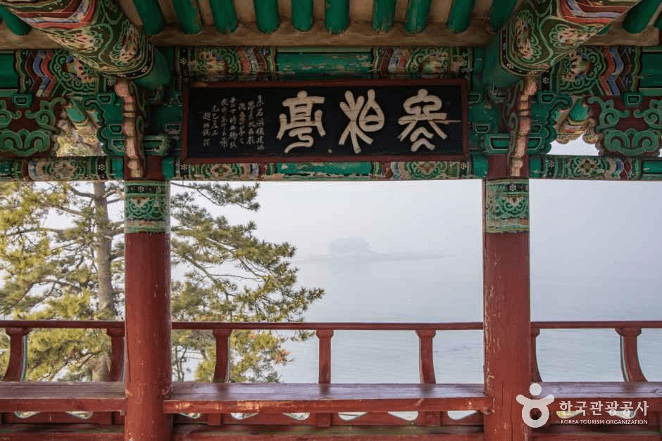 서천 마량리 동백나무 숲 사진 1