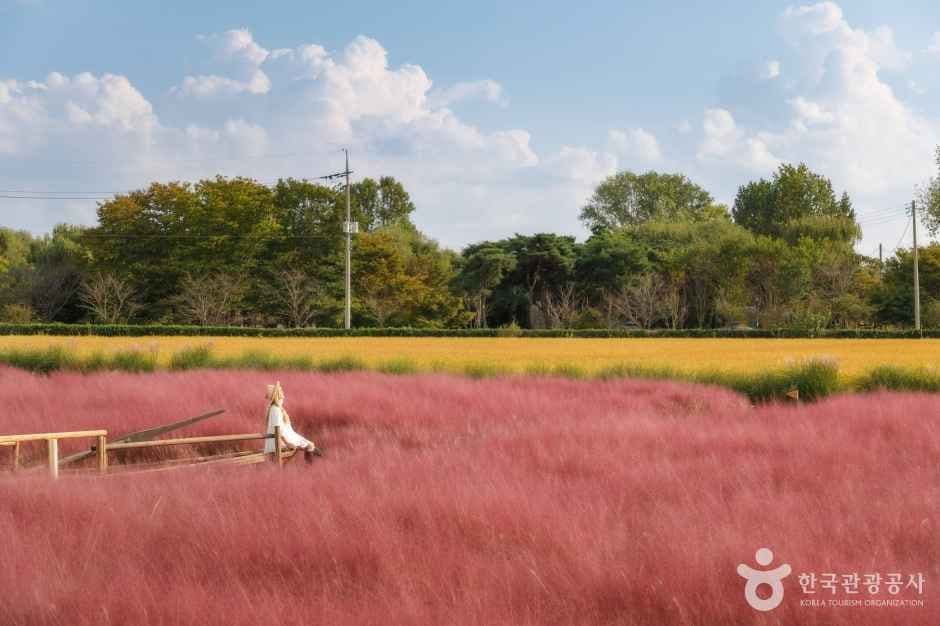 바람새마을