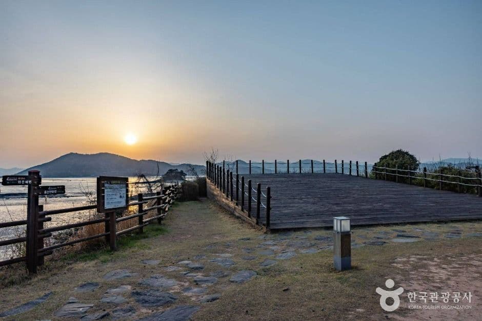 와온해변 사진 5
