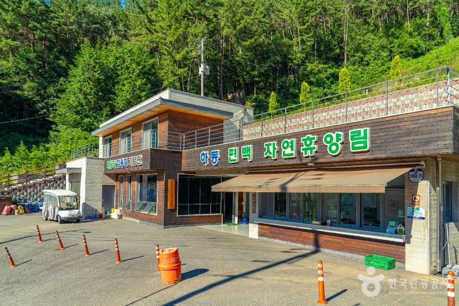 하동 편백자연휴양림 사진 2