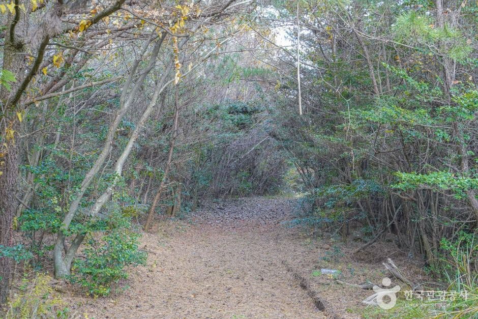 미악산 사진 3