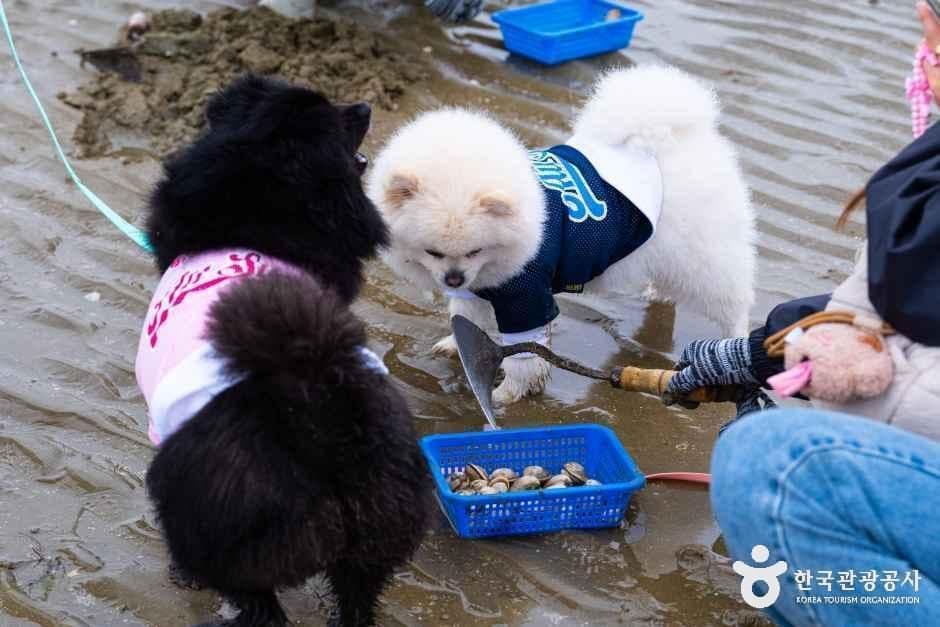 병술만어촌체험마을 사진 6