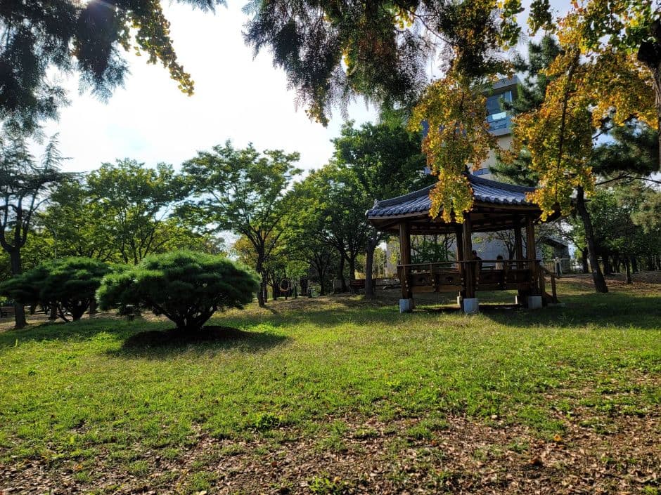 해맞이공원(대구) 사진 4