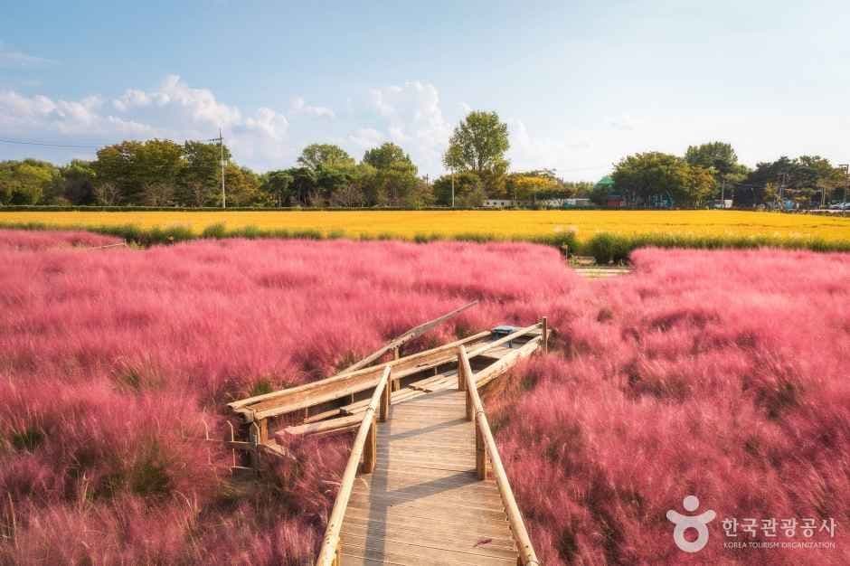 바람새마을 사진 7