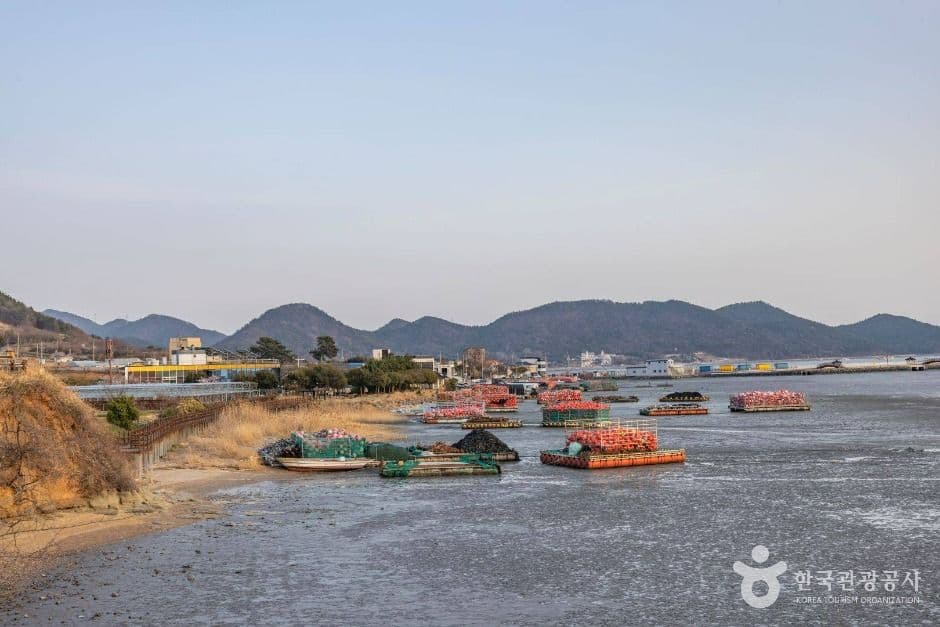 와온해변 사진 6