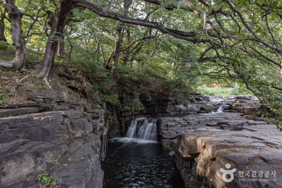옥산서원(경주) 사진 5