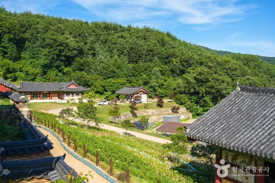 용문사(예천) 사진 3