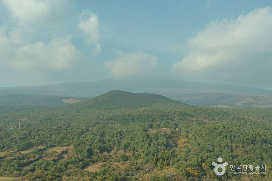 미악산 사진 4