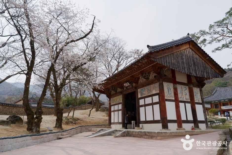 직지사 사진 3