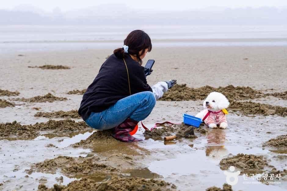 병술만어촌체험마을 사진 7