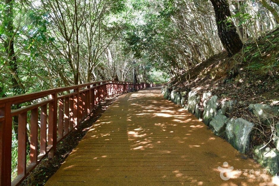 해운대 동백섬 사진 1