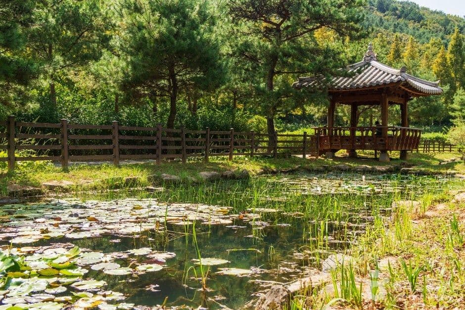 보령 무궁화수목원 사진 5