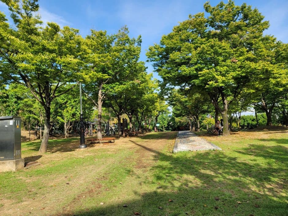 해맞이공원(대구) 사진 5