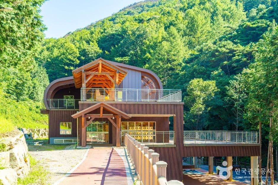 하동 편백자연휴양림 사진 4