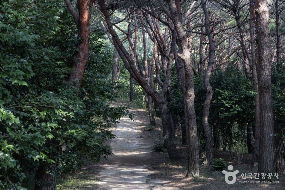 남해 관음포 이충무공 유적 사진 5