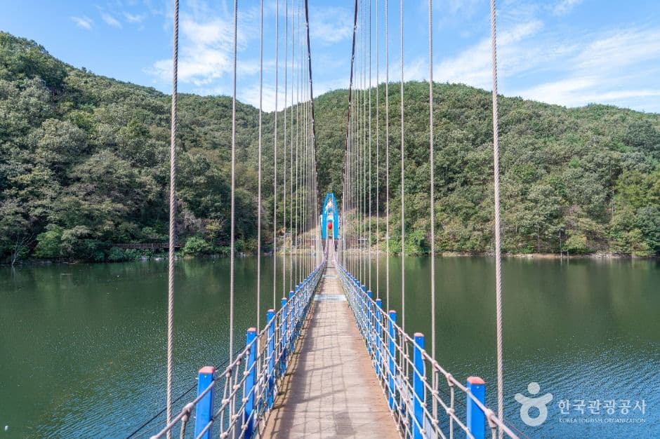천장호 출렁다리 사진 1