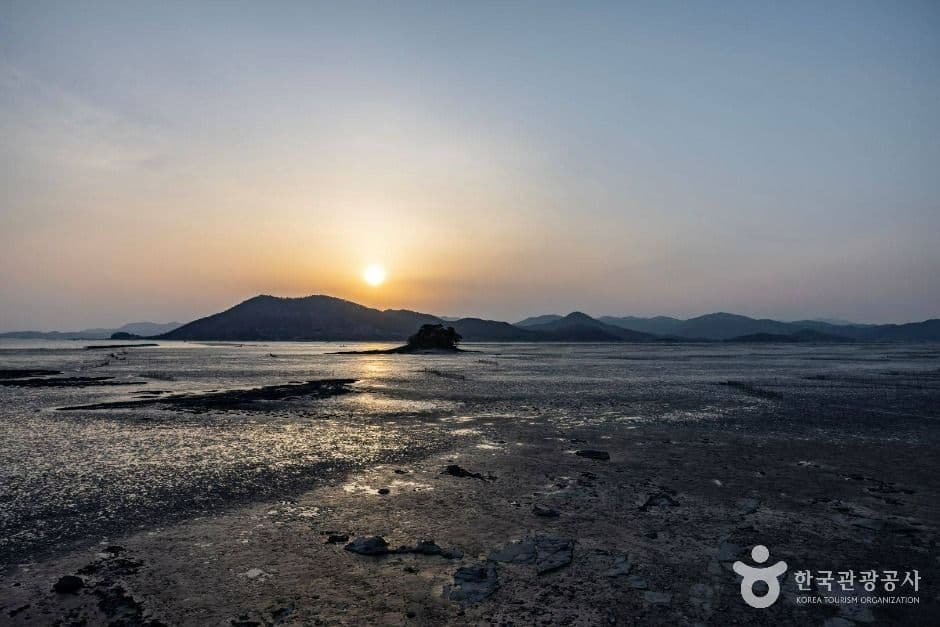 와온해변 사진 8