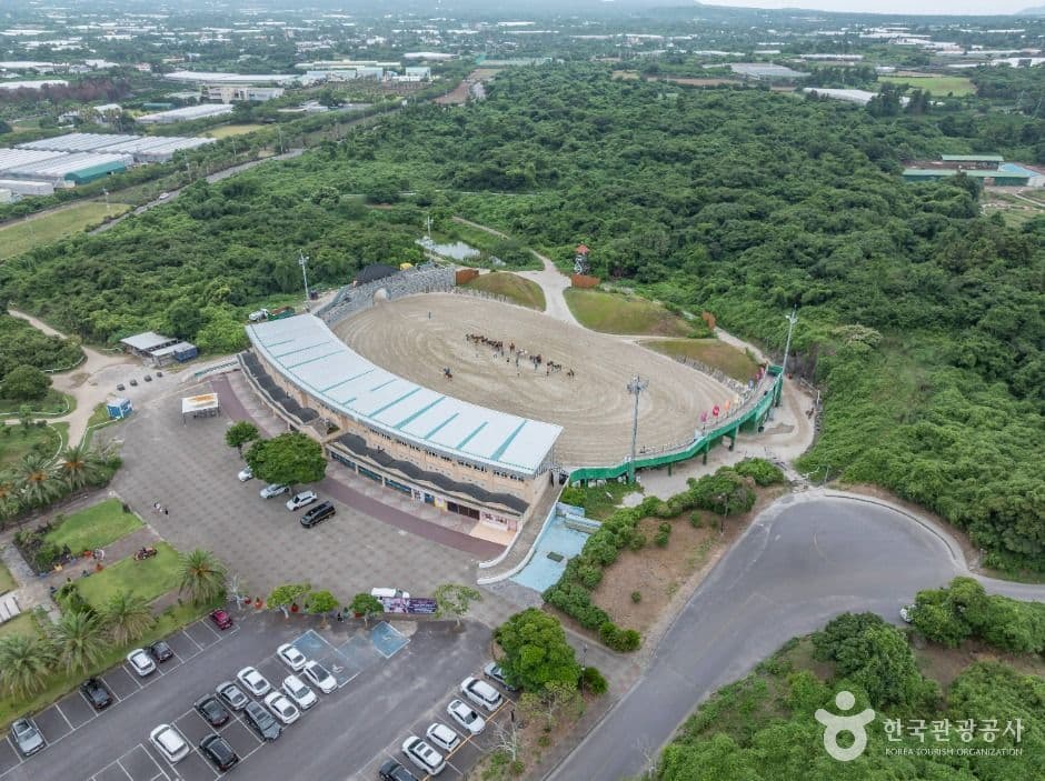 더마파크 사진 5