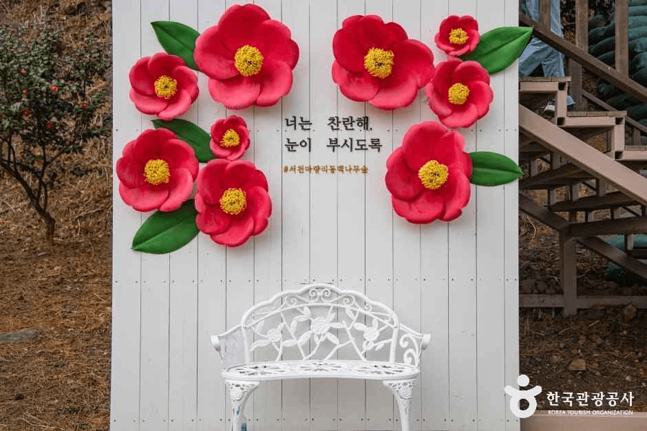 서천 마량리 동백나무 숲 사진 3