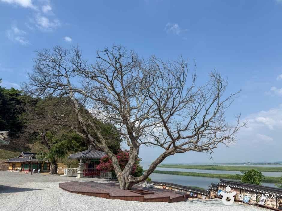 망해사(김제) 사진 6