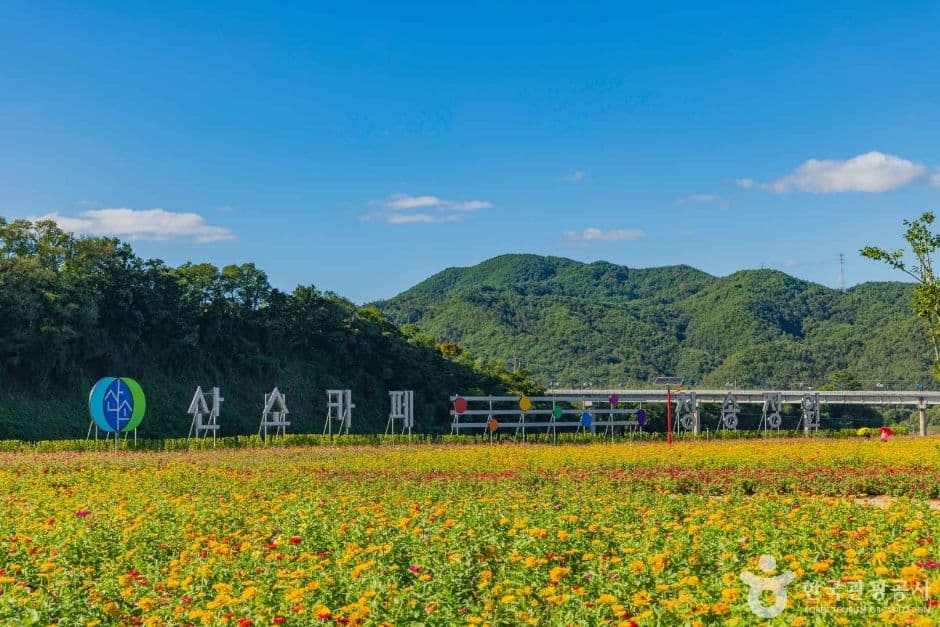 산소카페 청송정원 사진 8