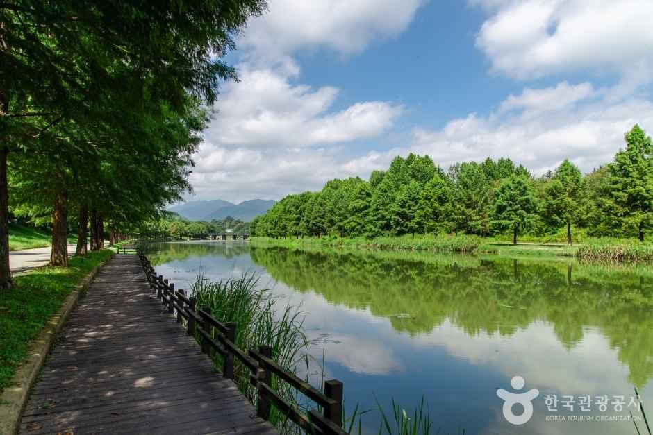 관방제림 사진 8