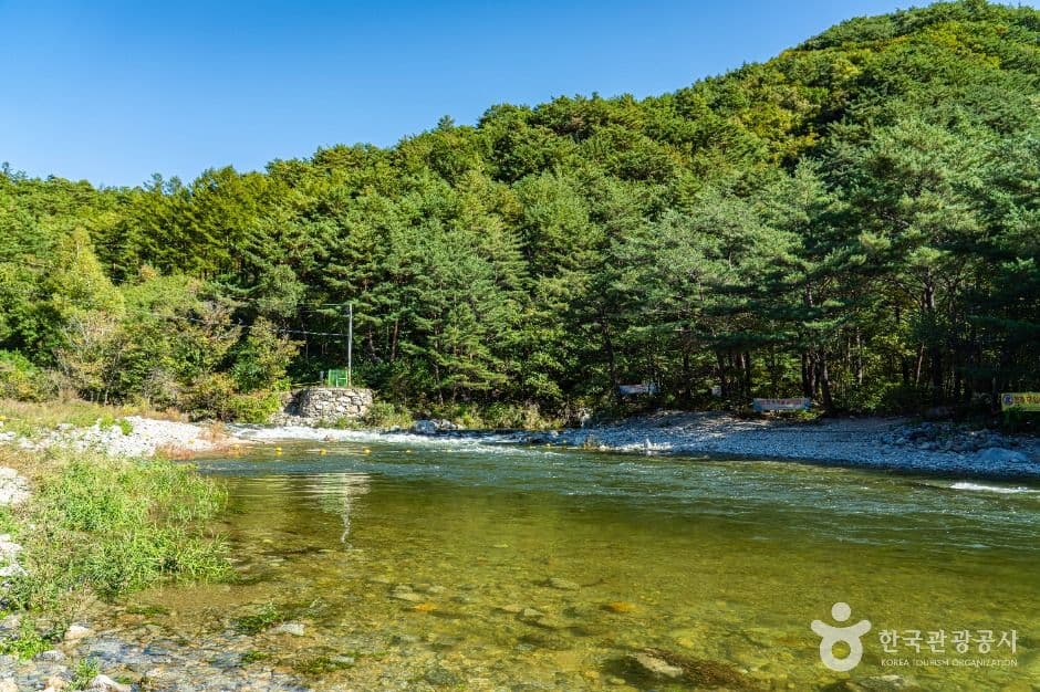 진동계곡 사진 3