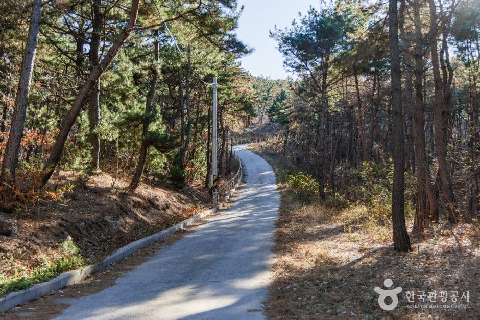 곤륜산 활공장 사진 4