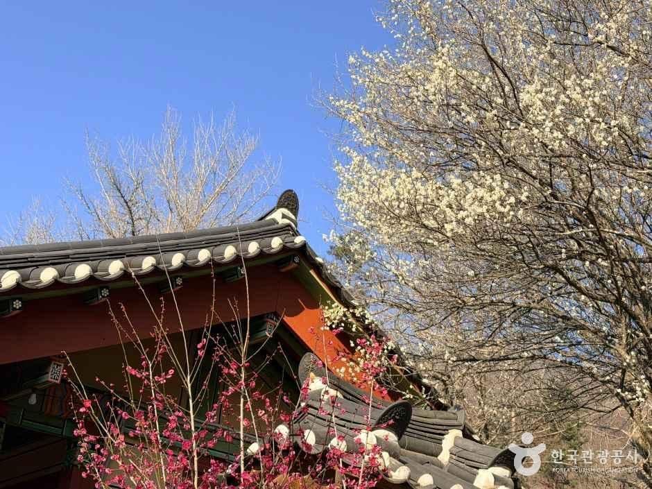 선암사 [유네스코 세계유산]