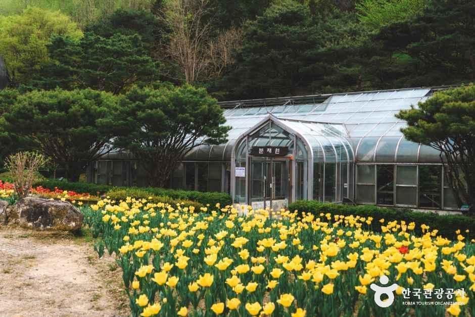 대아수목원 사진 5