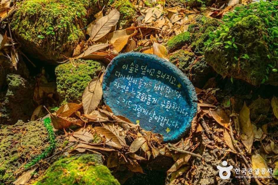 환상숲곶자왈공원 사진 2
