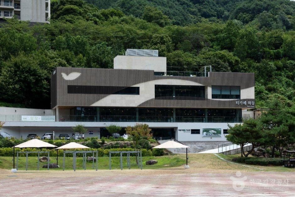 하동야생차박물관