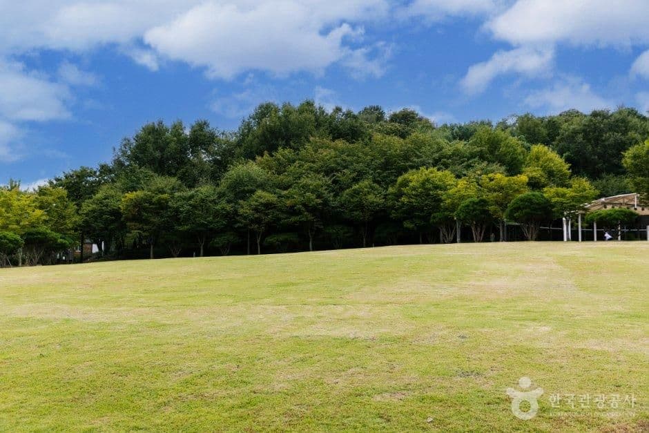 오산 고인돌공원 사진 7