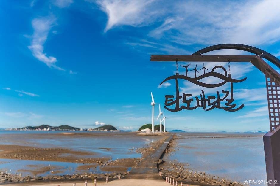 탄도항 누에섬 사진 2