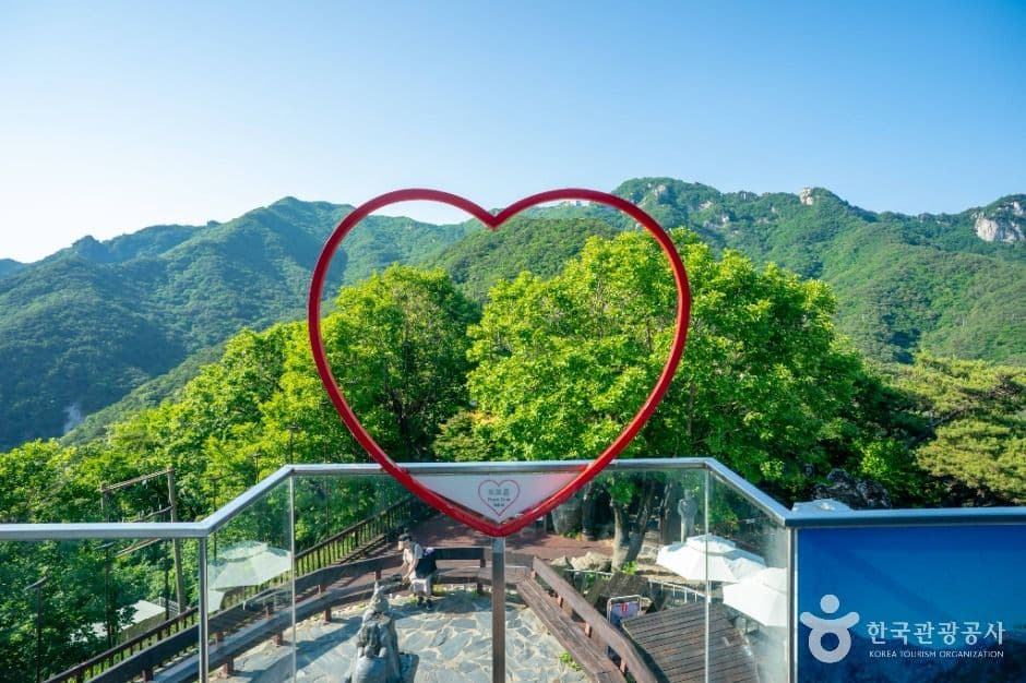팔공산 케이블카 사진 5