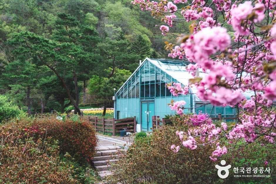 대아수목원 사진 6