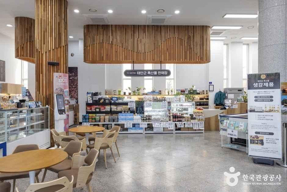 영목항 전망대 사진 5