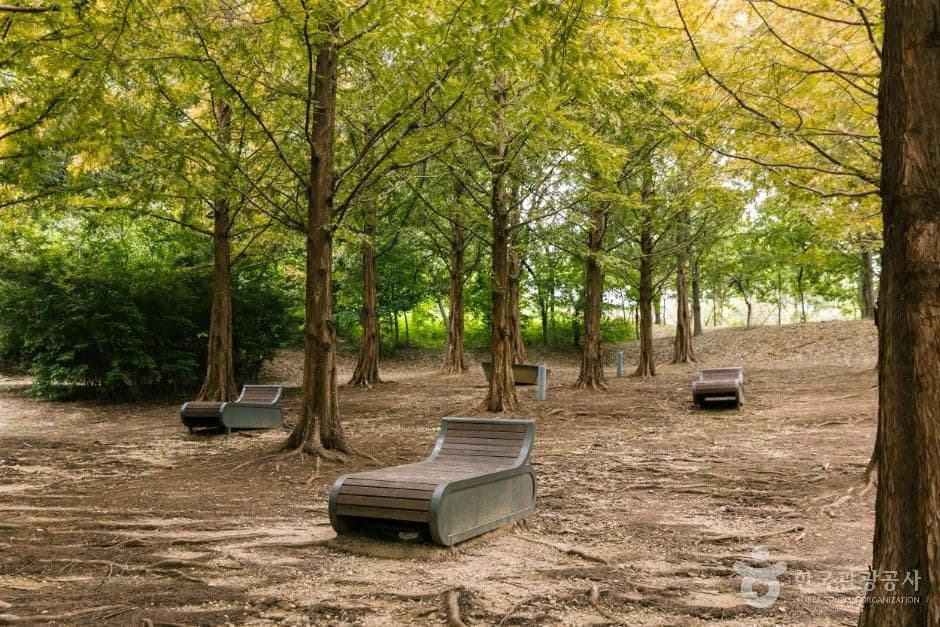 오산 고인돌공원 사진 8