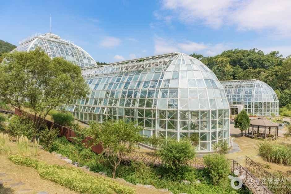 국립수목원 사진 3