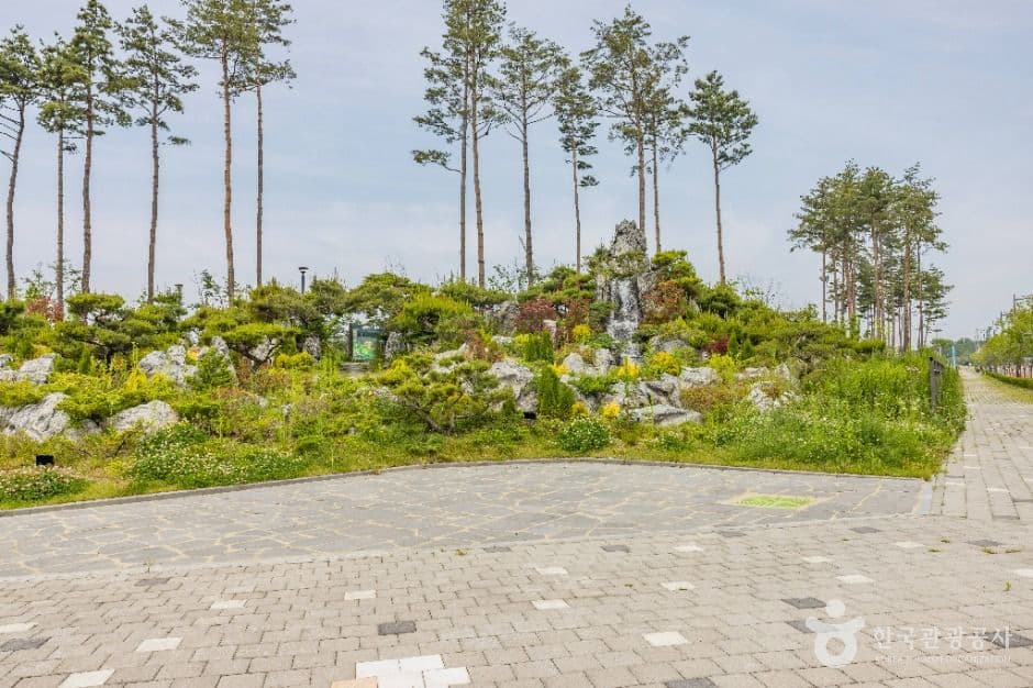 생명누리공원 사진 5