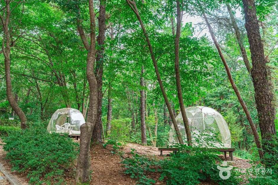 직동 근린공원 사진 1