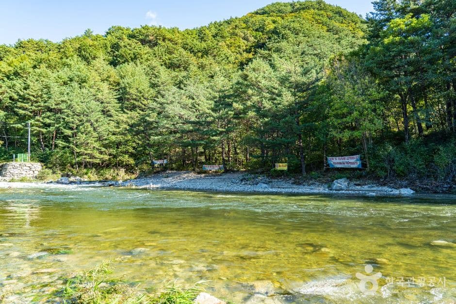 진동계곡 사진 5