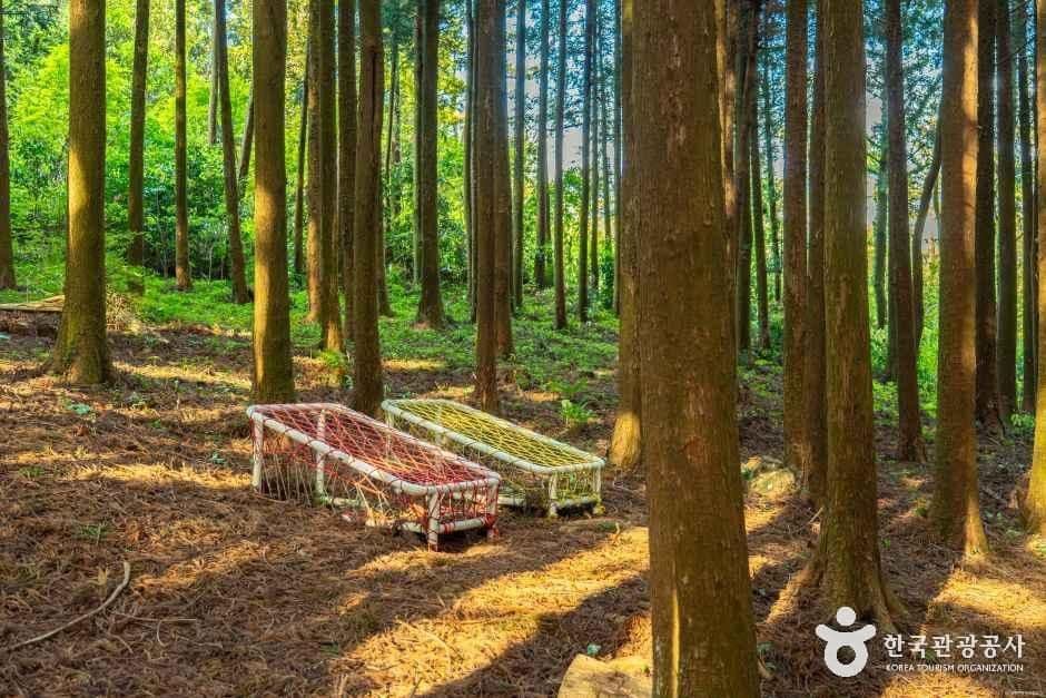 고배기동산 사진 1