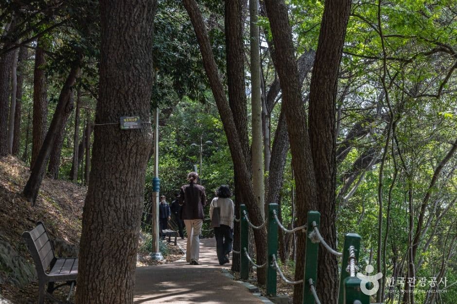 부산진성공원 사진 5