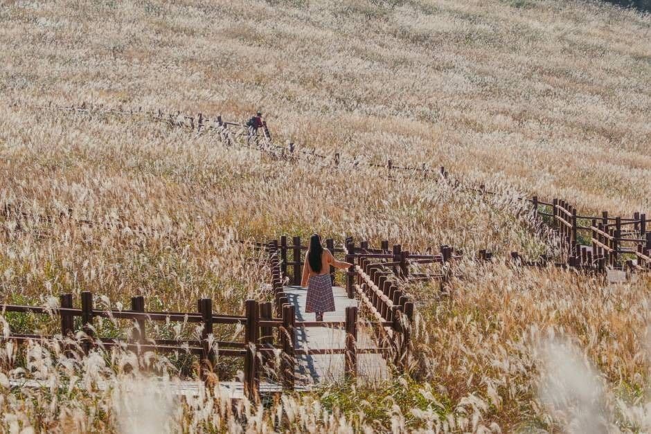 간월재 사진 2