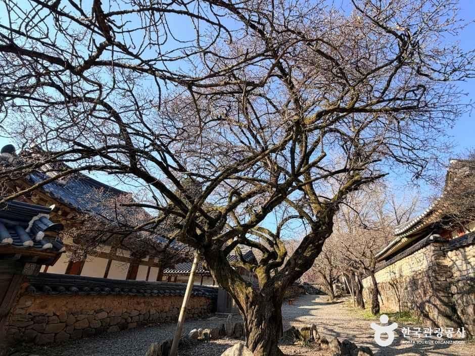 선암사 [유네스코 세계유산] 사진 7
