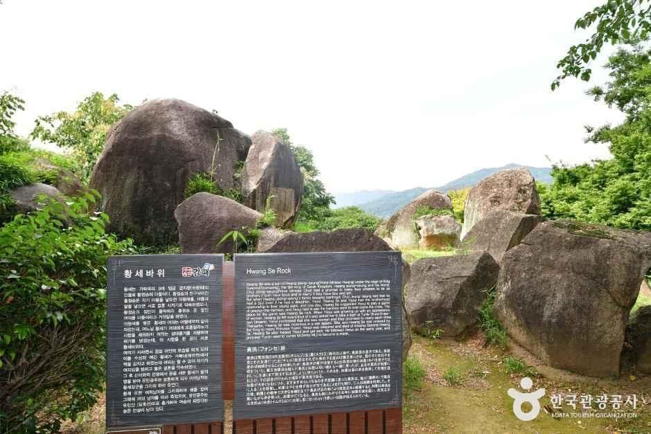 봉황대공원 사진 5