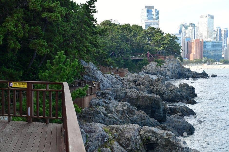 해운대 동백섬 사진 6