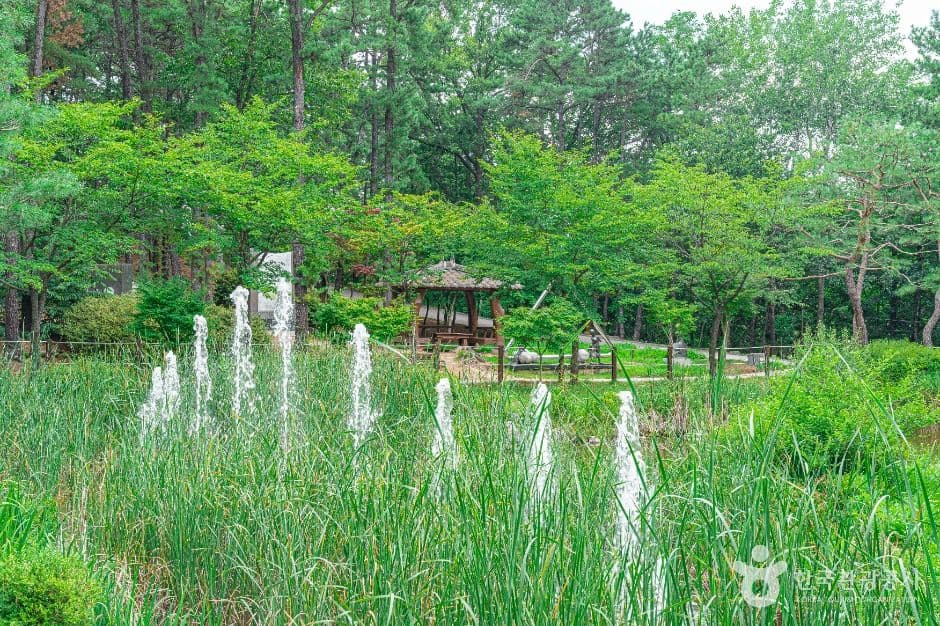 직동 근린공원 사진 3