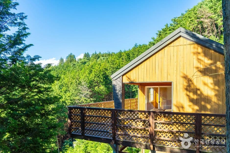 하동 편백자연휴양림 사진 8